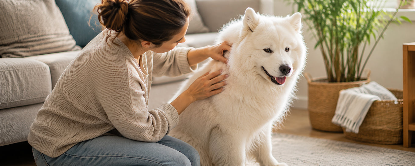 Can Probiotics Help Dogs With Allergies and Itchy Skin?