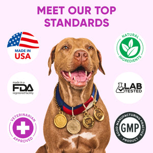 Dog Allergy & Immune Support – 120 Soft Chews