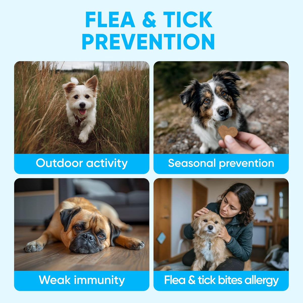 Chewable Flea and Tick Prevention for Dogs – 120 Soft Chews