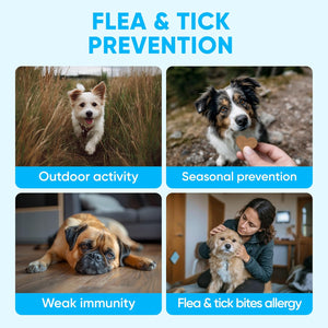Chewable Flea and Tick Prevention for Dogs – 120 Soft Chews