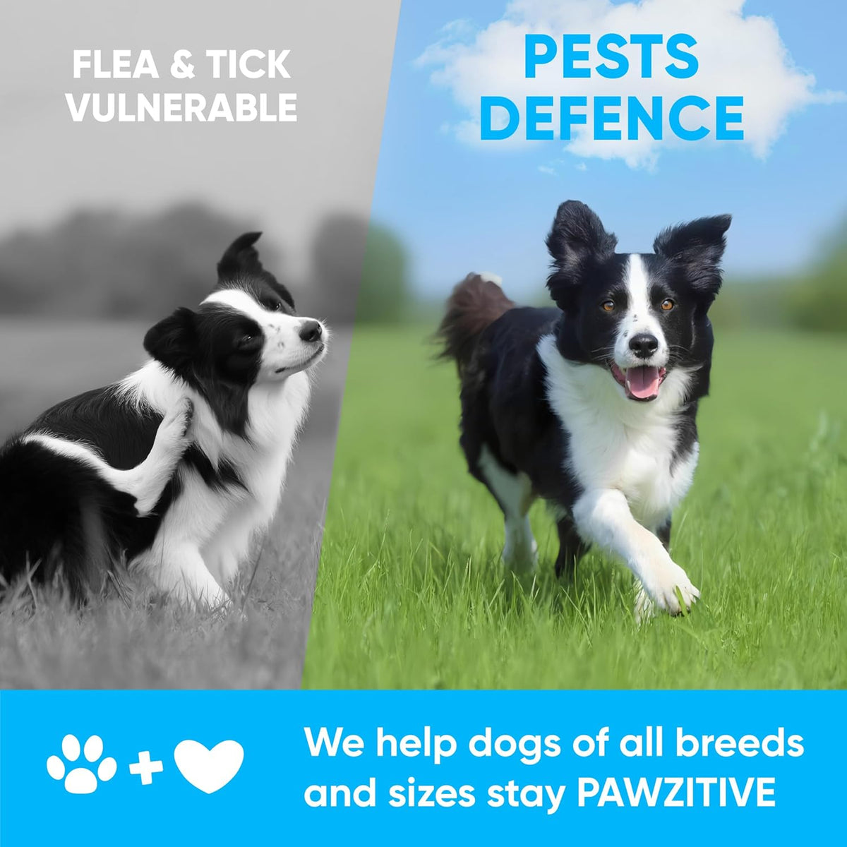 Chewable Flea and Tick Prevention for Dogs – 120 Soft Chews