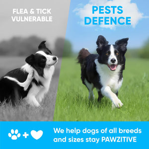 Chewable Flea and Tick Prevention for Dogs – 120 Soft Chews
