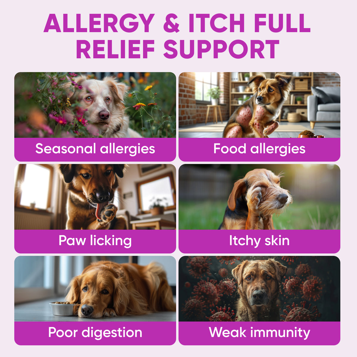 Dog Allergy & Immune Support – 120 Soft Chews
