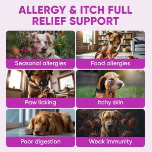 Dog Allergy & Immune Support – 120 Soft Chews