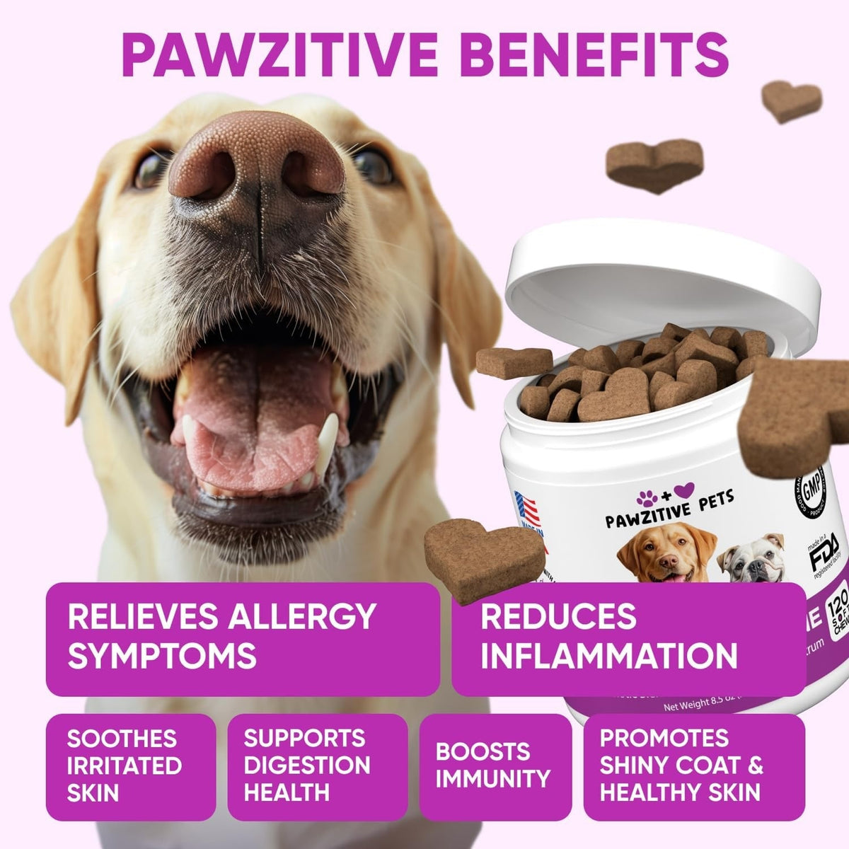 Dog Allergy & Immune Support – 120 Soft Chews