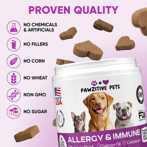 Gut & Allergy Support Bundle