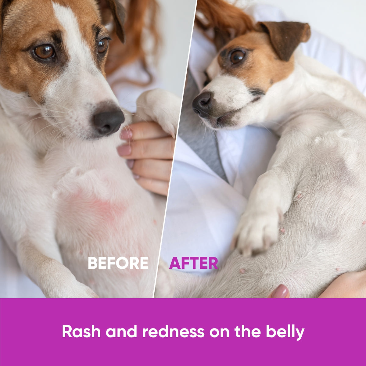 Dog Allergy & Immune Support – 120 Soft Chews