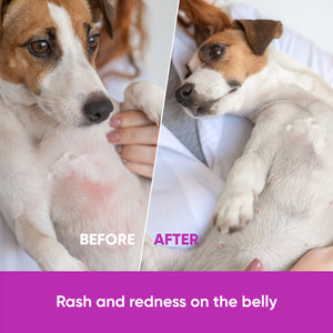 Dog Allergy & Immune Support – 120 Soft Chews