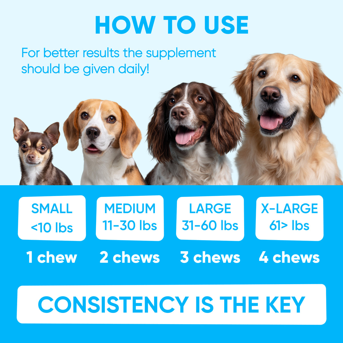 Chewable Flea and Tick Prevention for Dogs – 120 Soft Chews