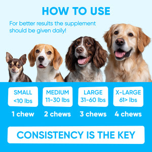 Chewable Flea and Tick Prevention for Dogs – 120 Soft Chews