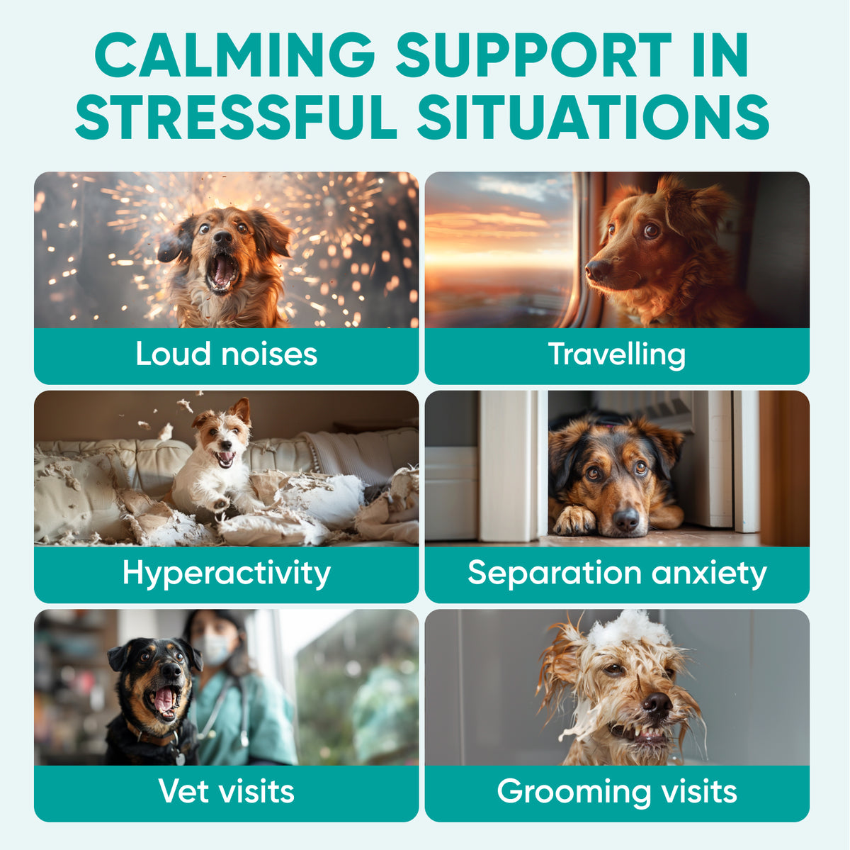 Hemp Calming Chews for Dogs – 120 Soft Chews