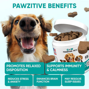 Hemp Calming Chews for Dogs – 120 Soft Chews