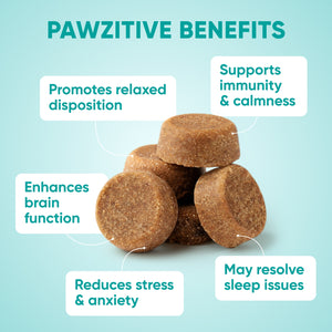 Hemp Calming Chews for Dogs – 120 Soft Chews