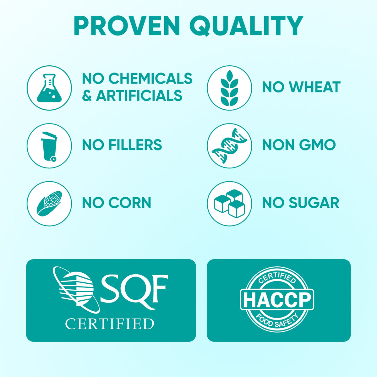 Hemp Calming Chews for Dogs – 120 Soft Chews