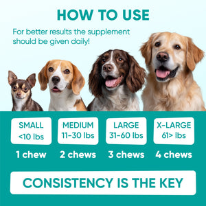 Hemp Calming Chews for Dogs – 120 Soft Chews