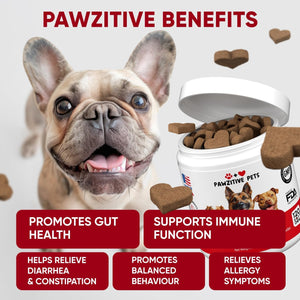 Pre+Probiotics for Dogs Digestive Health – 120 Soft Chews