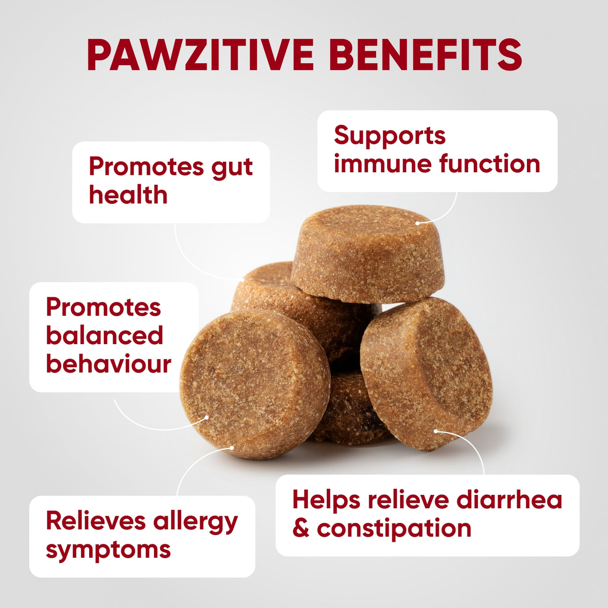 Pre+Probiotics for Dogs Digestive Health – 120 Soft Chews