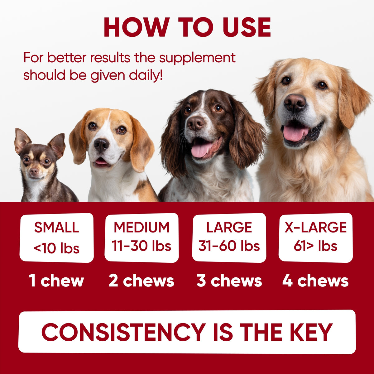 Pre+Probiotics for Dogs Digestive Health – 120 Soft Chews