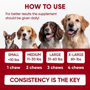 Pre+Probiotics for Dogs Digestive Health – 120 Soft Chews