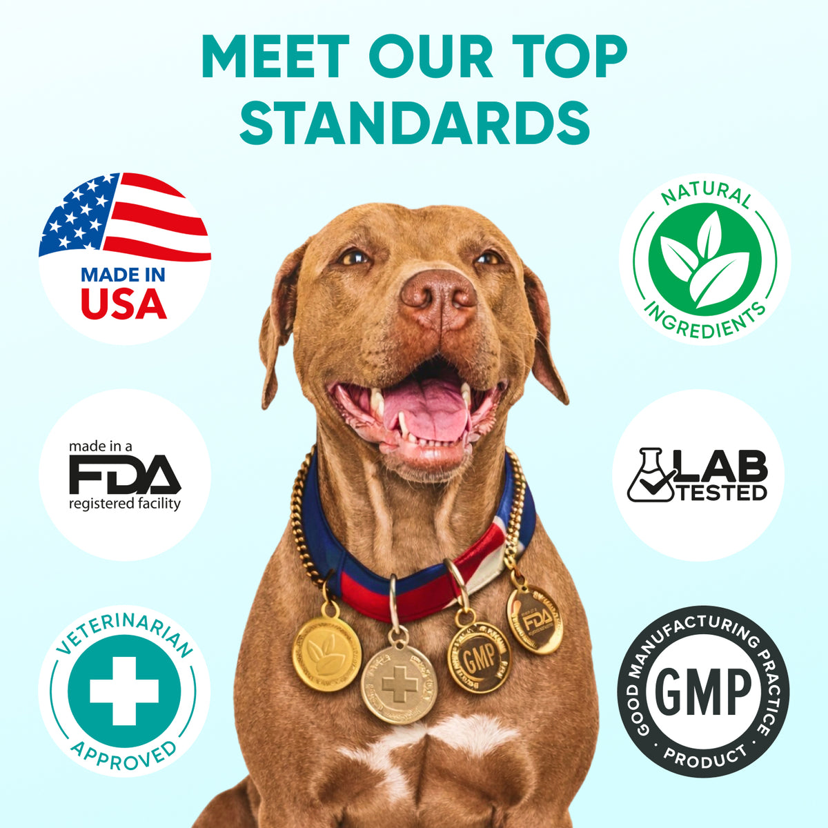 Hemp Calming Chews for Dogs – 120 Soft Chews
