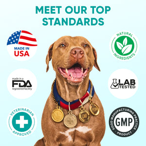Hemp Calming Chews for Dogs – 120 Soft Chews