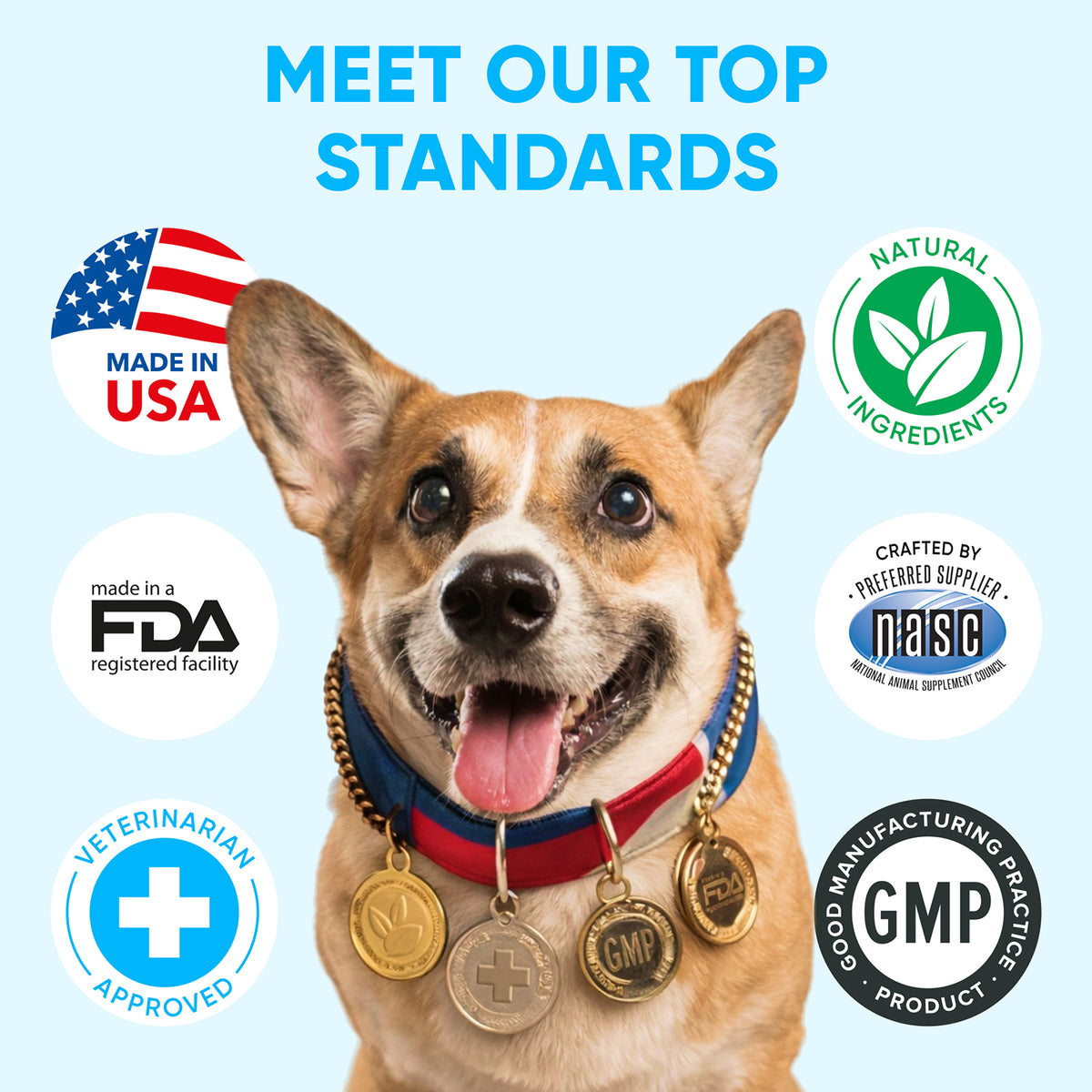 Chewable Flea and Tick Prevention for Dogs – 120 Soft Chews