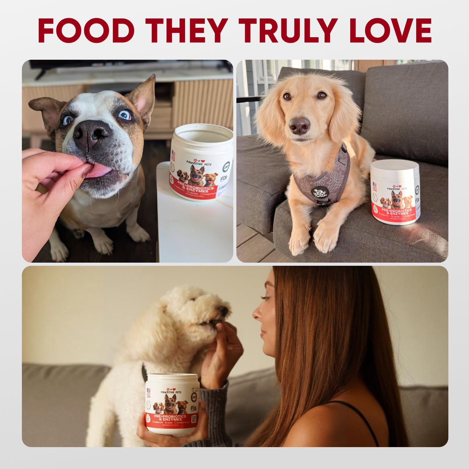 Pre+Probiotics for Dogs Digestive Health – 120 Soft Chews